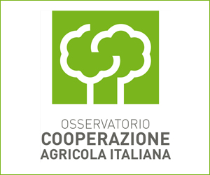 Osservatorio della Cooperazione agricola: RAPPORTO 2016